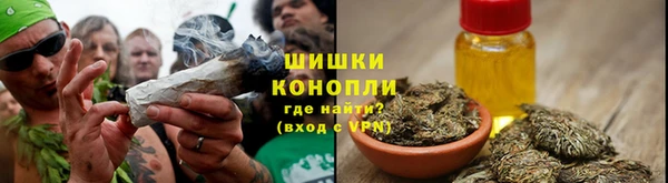 мдпв Осинники