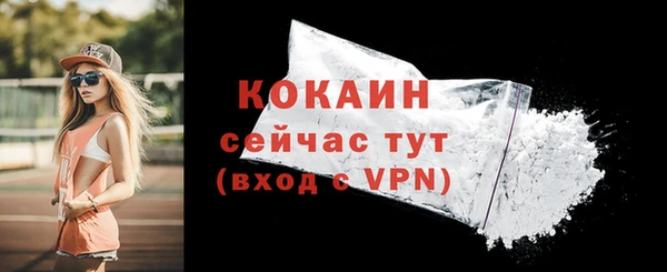 мдпв Осинники