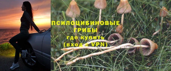 мдпв Осинники