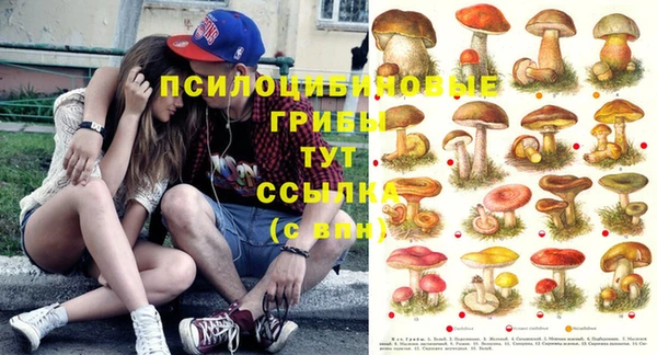MDMA Premium VHQ Остров