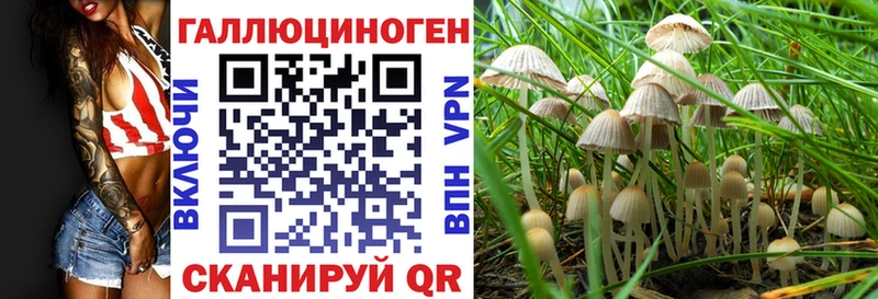 blacksprut маркетплейс  купить  сайты  Ряжск  Галлюциногенные грибы Psilocybe 